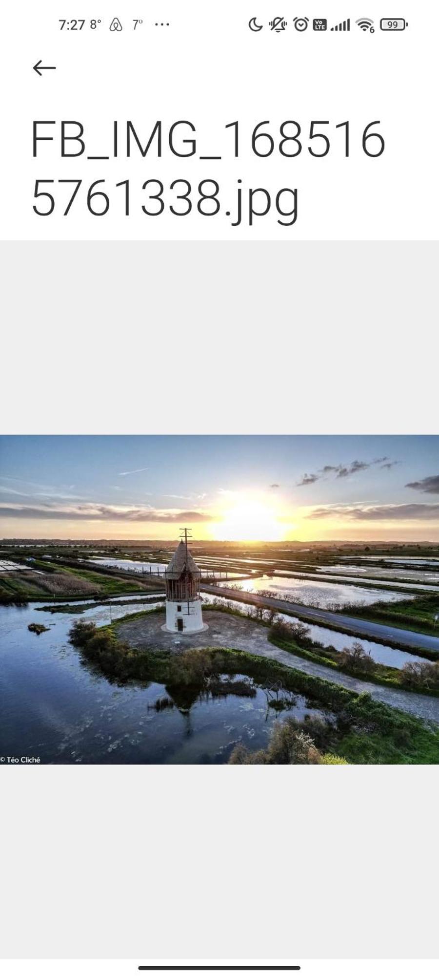 Les Oliviers * L'Ile-d'Olonne